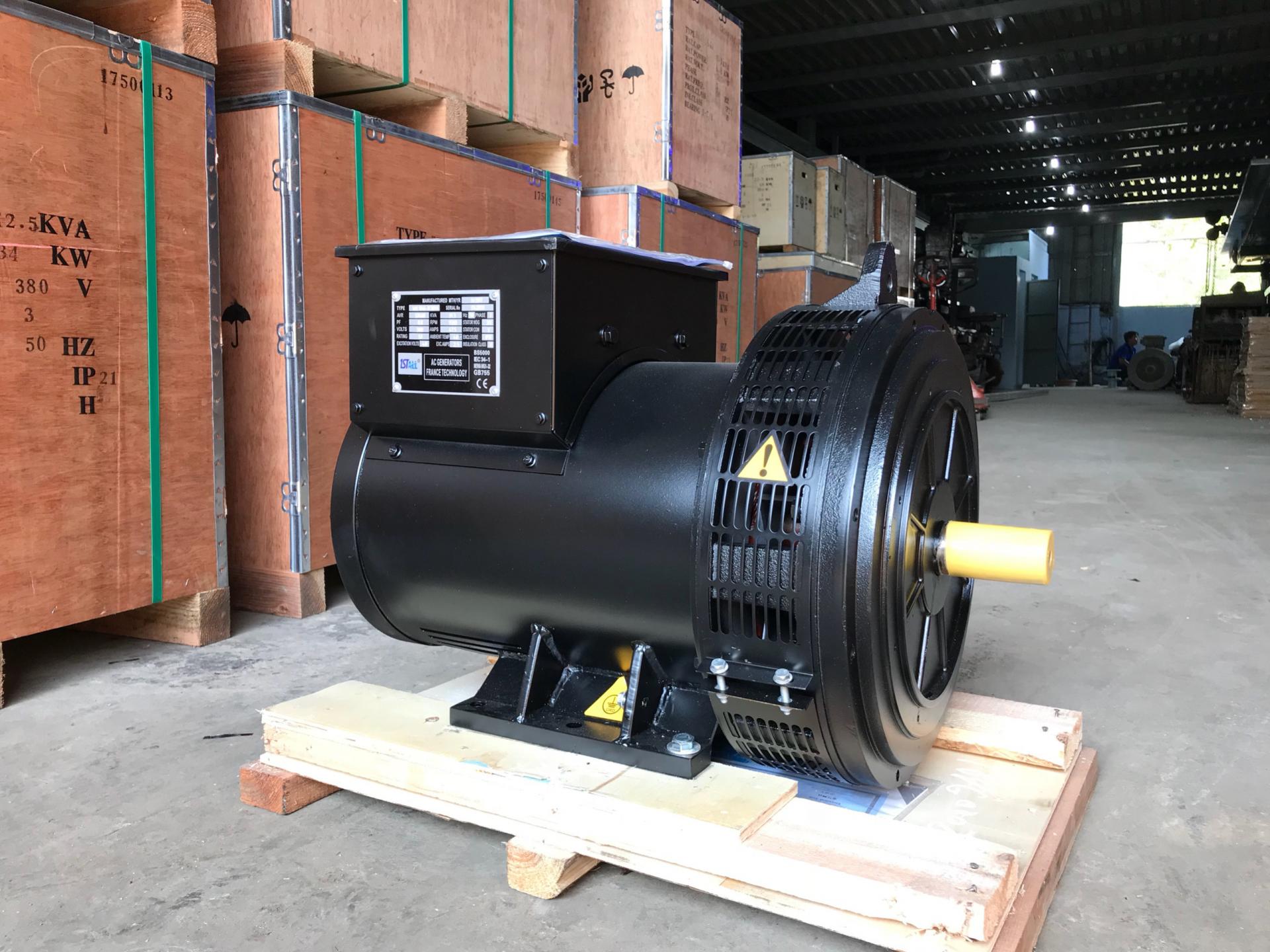 Dinamo không chổi than 1 pha - 31.3 Kva